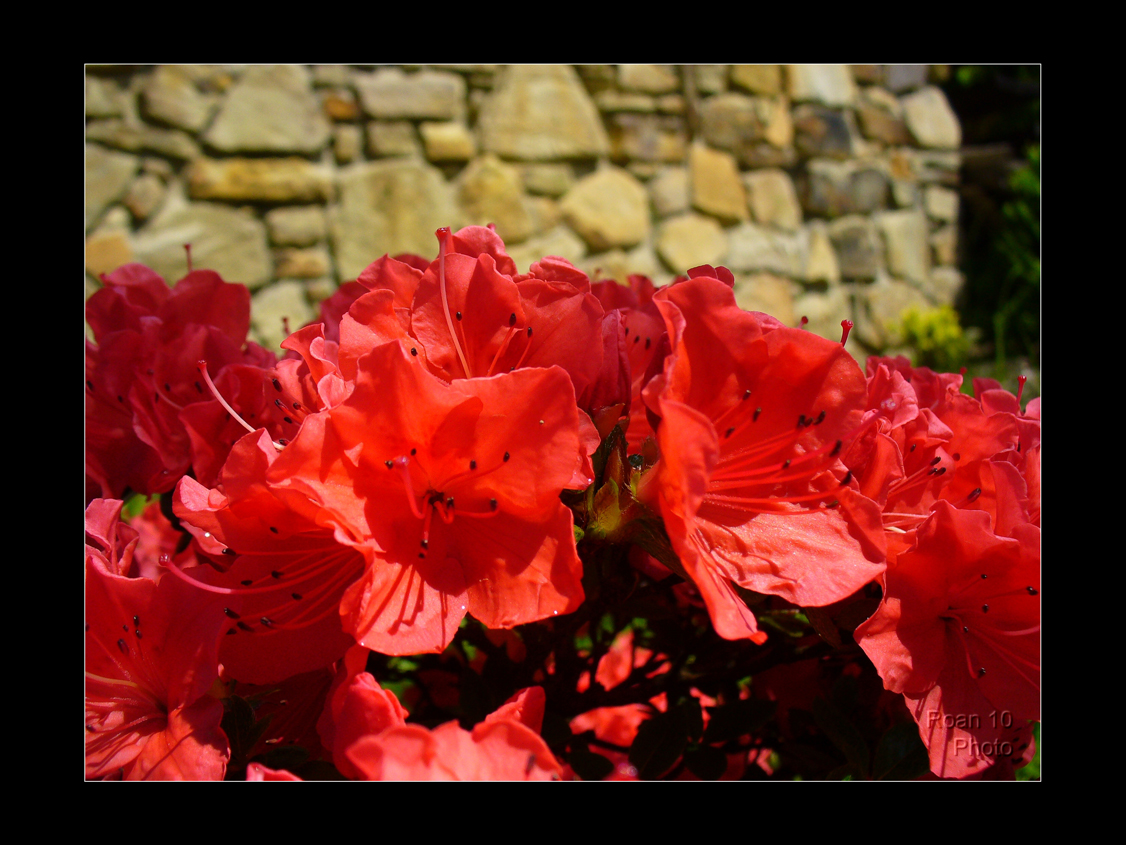 p1040041_hf