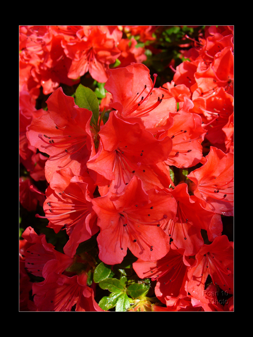 p1040040_hf