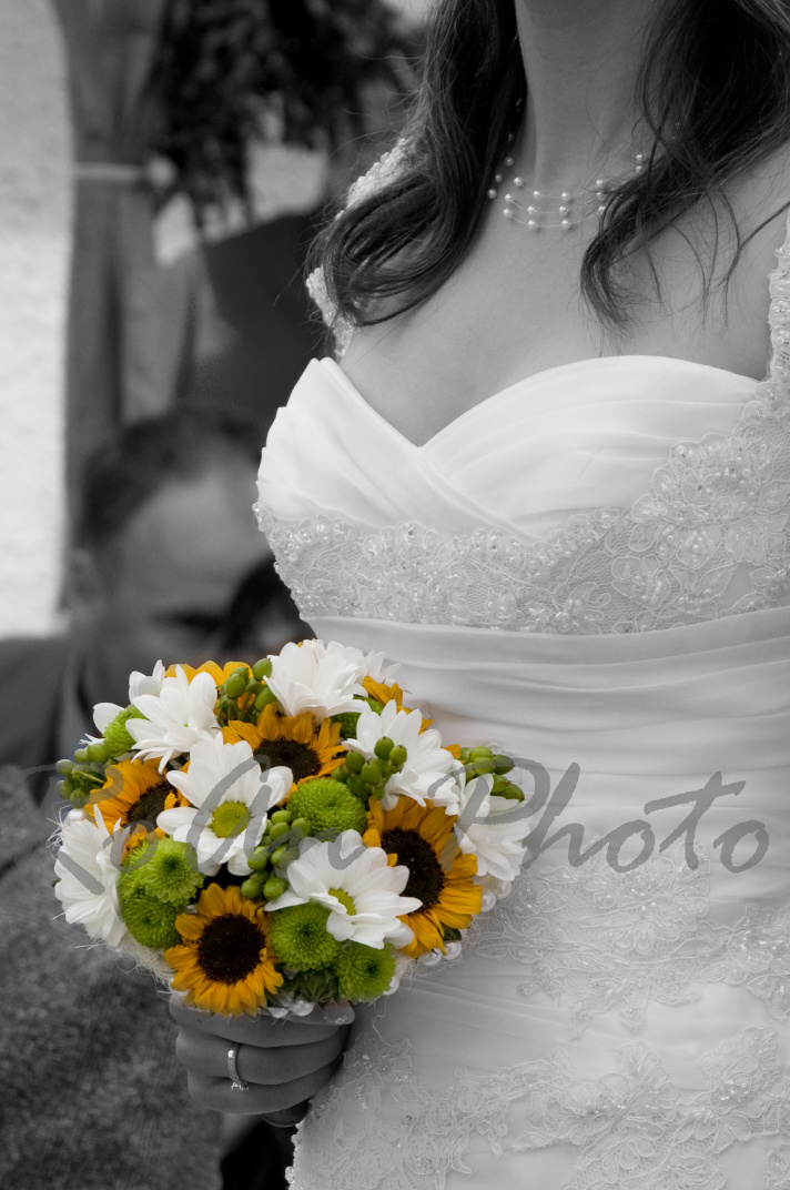 DSC_0048_v